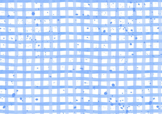 Splash of Gingham Greaseproof Papers (10pk)